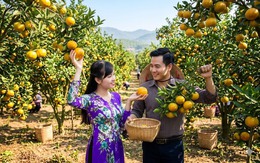 Về ra mắt nhà bạn trai, tôi mua giỏ hoa quả nhập khẩu giá 3 triệu, đến nơi, anh dẫn tôi ra xem mảnh vườn mà xấu hổ