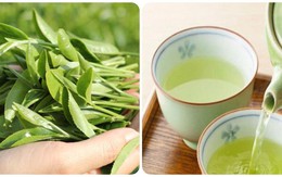 Thời điểm uống nước trà xanh tốt nhất cho sức khỏe