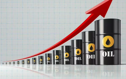 Thế giới đang trải qua một ngày “chưa từng có” trong 40 năm qua