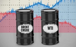 Vì sao giá dầu Brent và WTI đang tiến sát nhau? Phân tích sâu về hai chuẩn dầu lớn nhất thế giới