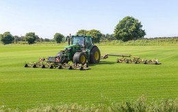 Nông nghiệp bền vững giúp nông trại châu Âu vượt khủng hoảng năng lượng