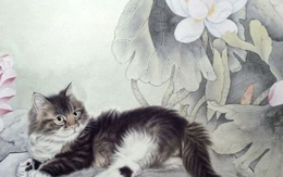 Từ Rằm tháng 2 Âm lịch, 3 con giáp có quý nhân trong gia đình, áp lực tiền bạc giảm rõ