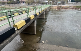 Vụ vali chứa thi thể ở trung tâm thành phố: Bắt giữ con gái và con rể nạn nhân