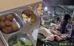 Vụ 300 tấn thịt lợn bệnh: Bất ngờ lời "kêu oan" của công ty trực tiếp đưa heo bệnh vào các trường học
