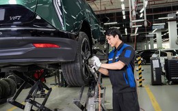 Chủ xe điện VinFast: “Nuôi 3 xe điện rẻ hơn 1 xe dầu”