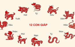 Chuyên gia dự báo: Từ giữa tháng 4 đến tháng 5, 6 con giáp có tín hiệu phục hồi tài chính, dễ gặp cơ hội tăng thu nhập và cải thiện dòng tiền