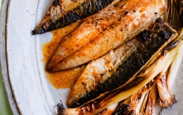 Kỳ lạ loại cá nhiều chất béo nhưng lại giúp giảm mỡ máu: Tiến sĩ Mỹ khen ngợi hết lời, Việt Nam có nhiều