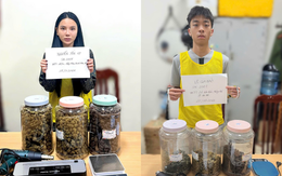 Bắt giữ Nguyễn Yến Vy SN 2005