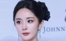 Dương Mịch bị lừa