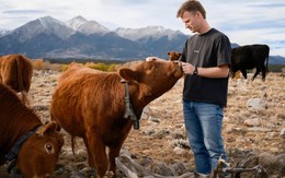 9 năm ám ảnh với vòng cổ bò, CEO 30 tuổi bị chê ngớ ngẩn khi khởi nghiệp, cuối cùng dựng lên startup 2 tỷ USD