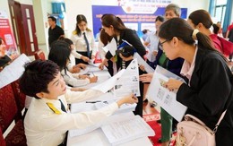 Cục thuế ra thông tư mới: Doanh thu hộ kinh doanh không còn “ước lượng, tự khai”