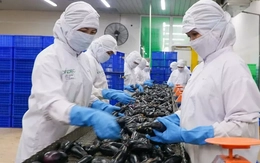 Ngành lương thực - thực phẩm: Tham gia sâu vào chuỗi giá trị