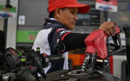 Nền kinh tế 4,5 nghìn tỷ USD bắn tin không thể vui hơn đến Đông Nam Á