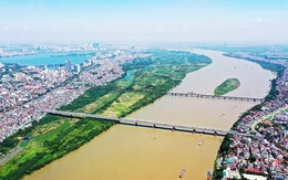 Tỷ phú Phạm Nhật Vượng vừa làm một việc “không thể chậm trễ” cho người dân ven biển đồng bằng sông Hồng