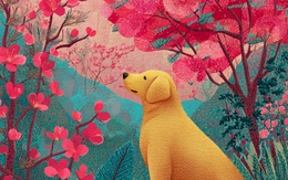 Tâm tĩnh như nước tiền tài như mưa: Điểm mặt 4 tuổi từ giữa tháng 4 vận đỏ chẳng vừa