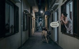 Thường xuyên tỉnh giấc giữa đêm vì hàng xóm gọi chó 'con ơi về đi' ầm cả ngõ