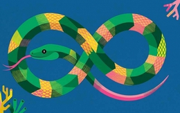 3 con giáp "có số" học hành, càng học nhiều cuộc đời càng khá giả