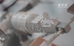 Trung Quốc tạo ra "bộ não mỏng hơn cả giấy", thách thức thế độc quyền của phương Tây suốt nhiều năm