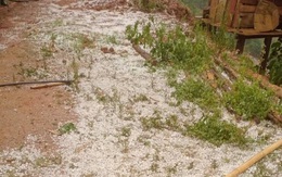 Mưa đá dày đặc ở Sơn La, đồi núi trắng xóa sau cơn dông