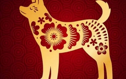 Đầu năm, giữa năm "không rực rỡ cũng chẳng sao", 4 con giáp được dự đoán cuối năm sẽ bứt tốc ngoạn mục về học tập và sự nghiệp!