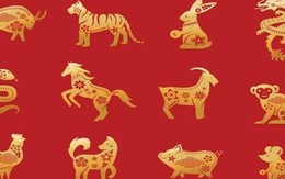 Chuyên gia nhận định: Từ ngày 3 tháng 4/2026, 4 con giáp này có tín hiệu tài lộc khởi sắc, cơ hội tăng thu nhập rõ rệt