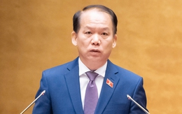 Sĩ quan Quân đội và sĩ quan Công an có thể làm luật sư công