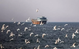 Có gì trên tàu hàng Iran bị Mỹ thu giữ trên Vịnh Oman?