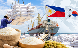 Tín hiệu cực vui cho 'hạt vàng' Việt Nam: Hai khách sộp đua 'vét hàng', hàng trăm tàu sẵn sàng vươn khơi