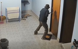 Bị mất số vàng trị giá hơn 2 tỷ, người đàn ông báo cảnh sát rồi không thể tin nổi danh tính kẻ chủ mưu