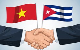 Một dự án ở Cuba 'đang trong tình trạng tuyệt vời': Điều gì khiến Việt Nam trở thành 'chìa khóa'?