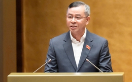 Bộ trưởng Bộ Tài chính: Ngưỡng chịu thuế 1 tỷ đồng với hộ kinh doanh là hài hòa