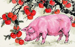 Gieo nhân lành gặt quả ngọt: 3 con giáp nữ trung niên hưởng trọn "lộc trời" từ tháng 7/2026