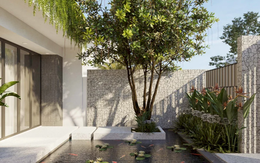 4 loại cây may mắn nên trồng trước sân nhà, gia đình không giàu sang cũng trở nên quyền quý