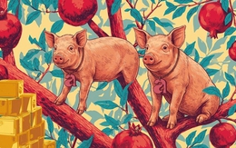 6 tháng cuối năm 2026: 4 con giáp bước vào "chu kỳ vàng" 10 năm mới có 1 lần