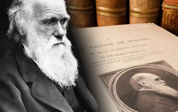 Darwin đã đúng