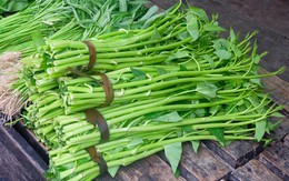 Vì sao rau muống từng bị cấm trồng tại Mỹ, bị gọi là 'cỏ dại độc hại'?