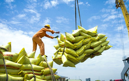 Một mặt hàng 'tỷ đô' của Việt Nam đón tin cực vui từ Philippines và Trung Quốc - triển vọng mang về 5 tỷ USD