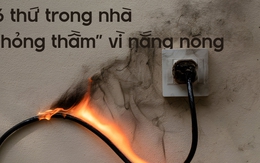 Tháng 4 nắng nóng đến 39°C: Những thứ trong nhà có thể đang "xuống cấp" mà bạn không hay
