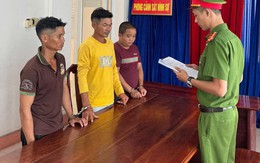 Bị đánh lún sọ vì bóp còi xua đàn trâu