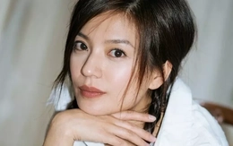 Tung tích Triệu Vy