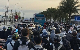 Ô tô, xe máy xếp hàng dài cả cây số chờ qua phà ra Cát Bà