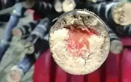 Loại thức ăn này độc hơn cả rắn vào dịp Tết Thanh Minh!