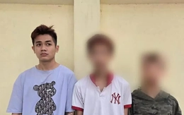 Hà Nội: Bắt nhóm đối tượng cướp giật tài sản của cụ bà 96 tuổi ngồi xe lăn