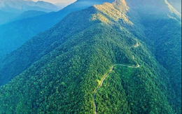 Tạp chí quốc tế công bố "kho báu sống" ở dãy Trường Sơn: Chỉ Việt Nam có