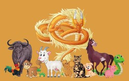 1 tuần nữa có 2 con giáp lội ngược dòng viên mãn, tiền nong rủng rỉnh, 1 con giáp lại cần thận trọng