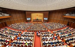 Nhiệm vụ và quyền hạn của Chủ tịch nước, Thủ tướng Chính phủ