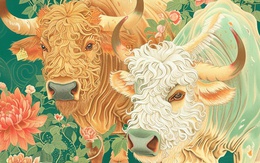 Từ quý II/2026: 4 con giáp có dấu hiệu tăng thu nhập, dòng tiền cải thiện rõ rệt theo từng tháng