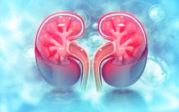 Muốn bảo vệ 2 quả thận, nhất định phải hạn chế 8 loại thực phẩm này