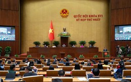 Cơ cấu tổ chức của Chính phủ nhiệm kỳ Quốc hội khóa XVI