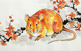 Thần Tài gõ cửa ban trưa: 4 con giáp hầu bao rủng rỉnh, lộc tuôn như mưa cuối tháng 2 Âm lịch